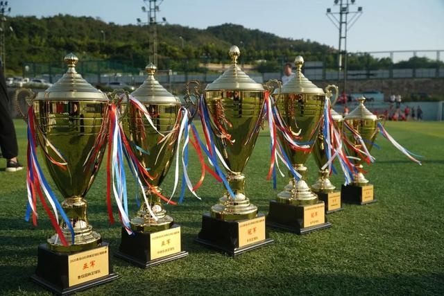 世界杯-新西兰险胜埃及 南苏丹锁定奥运创历史